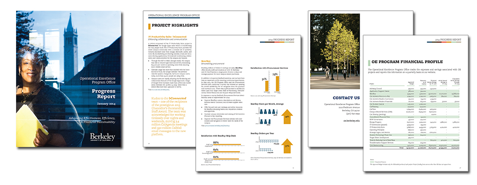 OEPO / UC Berkeley - Annual Report 2015