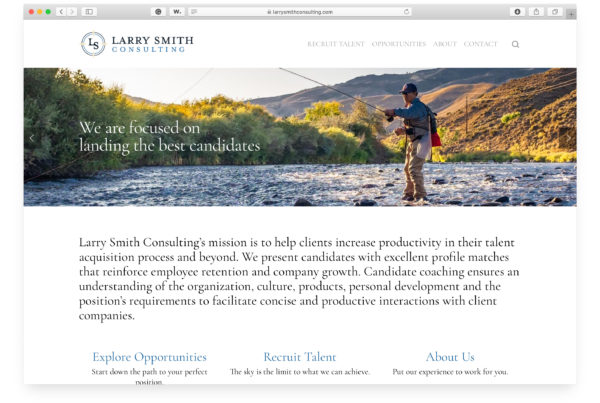 Larry Smith Consulting - Website