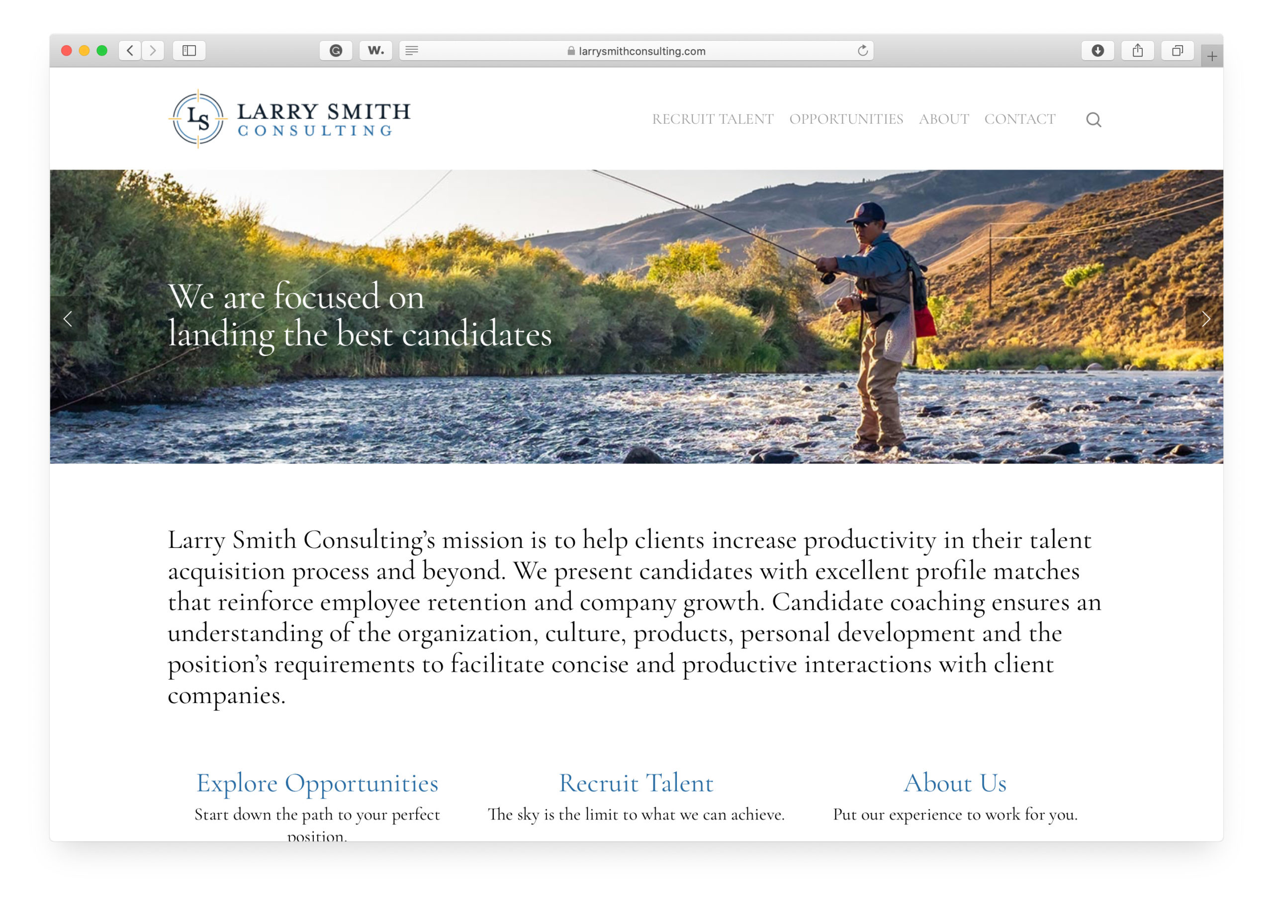 Home Page, Larry Smith Consulting