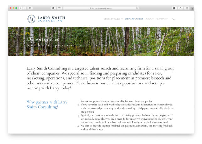 Larry Smith Consulting - Website